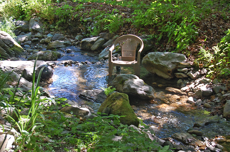 chair in brook