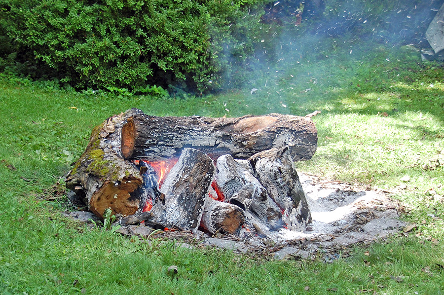 Burning the butternut