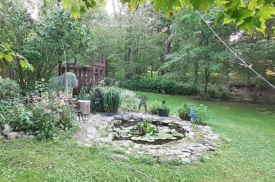 power lines down, just missing the pond on either side