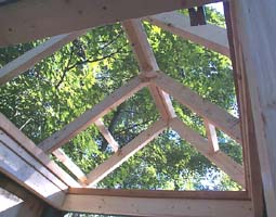 tool shed rafters